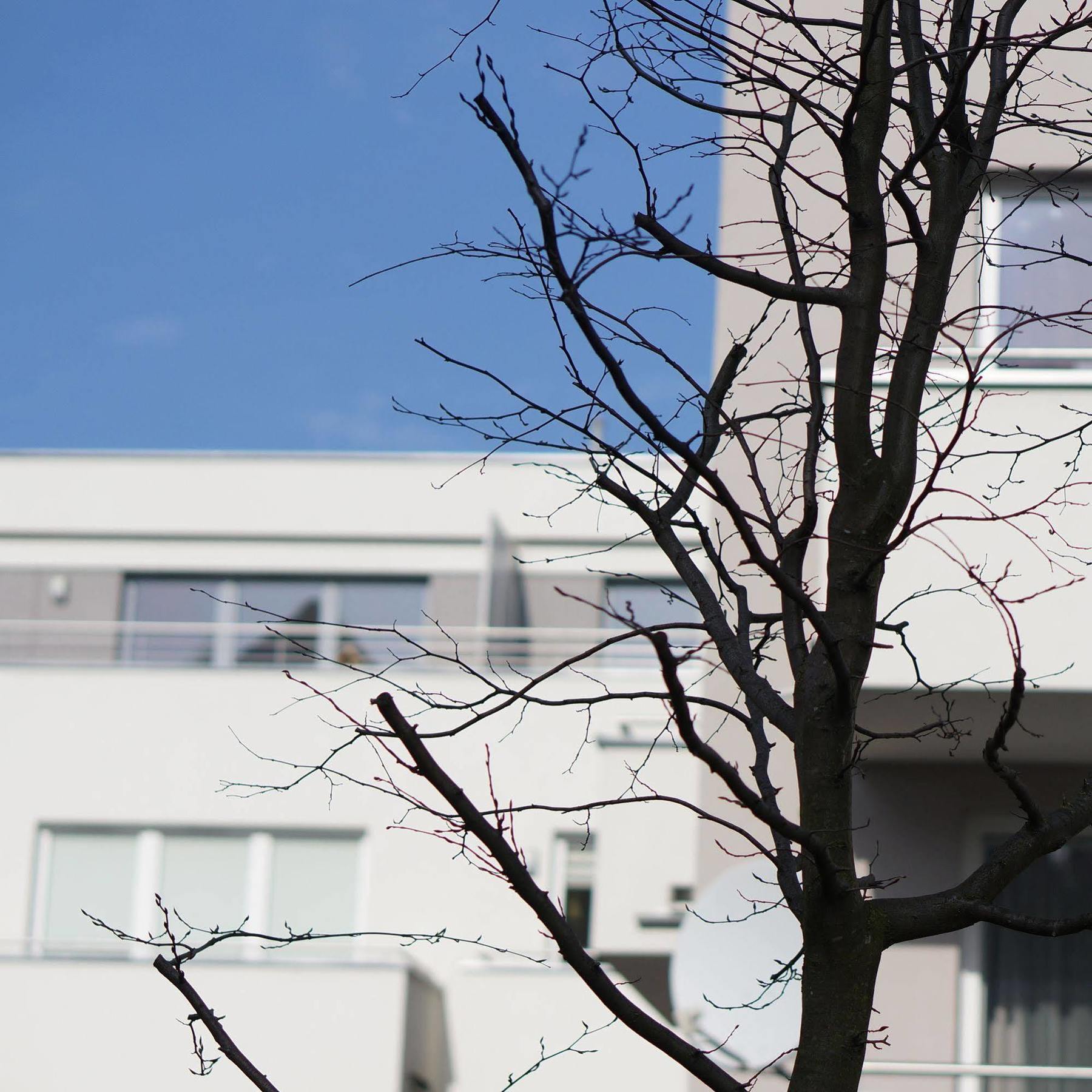 La Petite Apartments Гданск Екстериор снимка